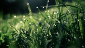 Успокоиться и просто жить