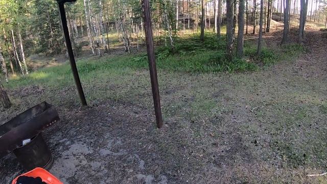 Прохват по нашим лесам смотреть онлайн