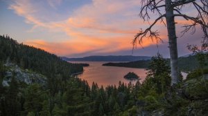 Adi Goldstein. Tears Of Joy