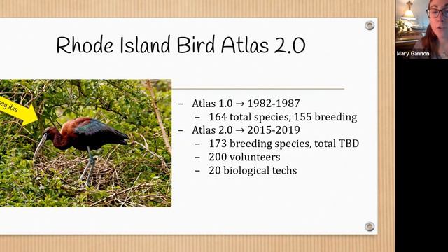 Bird Basics Virtual Program