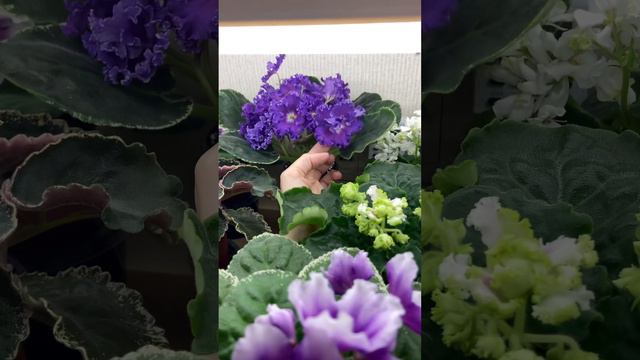 Обзорчики 18.01 ч.3 смотреть онлайн