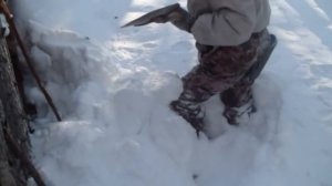 Зимняя охота 22 23 февраля 2016 г. Восточная Сибирь. Иркутская обл.