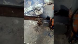 Бензопила Урал с карбюратором от ,,Дружба 4" 10 октября 2020 г.