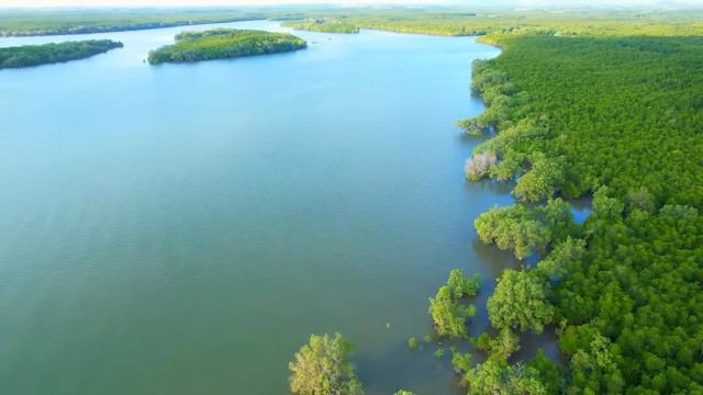 Успокаивающая музыка для нервов 🌿 лечебная музыка для сердца и сосудов, релакс, музыка для души #15 смотреть онлайн