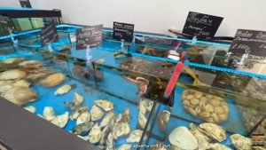 СИМОНОВ СЕРГЕЙ - ДОН СИМОН ВЫГУЛИВАЕТ ОНДАТРУ.