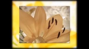 Старинная венецианская мелодия - Очарование