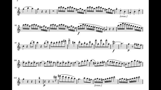 G. Donizetti /Sonata for Flute&Piano in C Minor-accompaniment смотреть онлайн