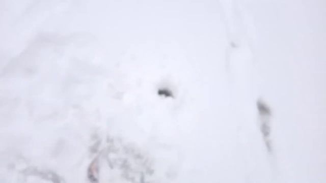 Лучше плохой день на рыбалке, чем хороший на работе... Рыбалка на окуня... Оз.Белое (Абрамова гора) смотреть онлайн