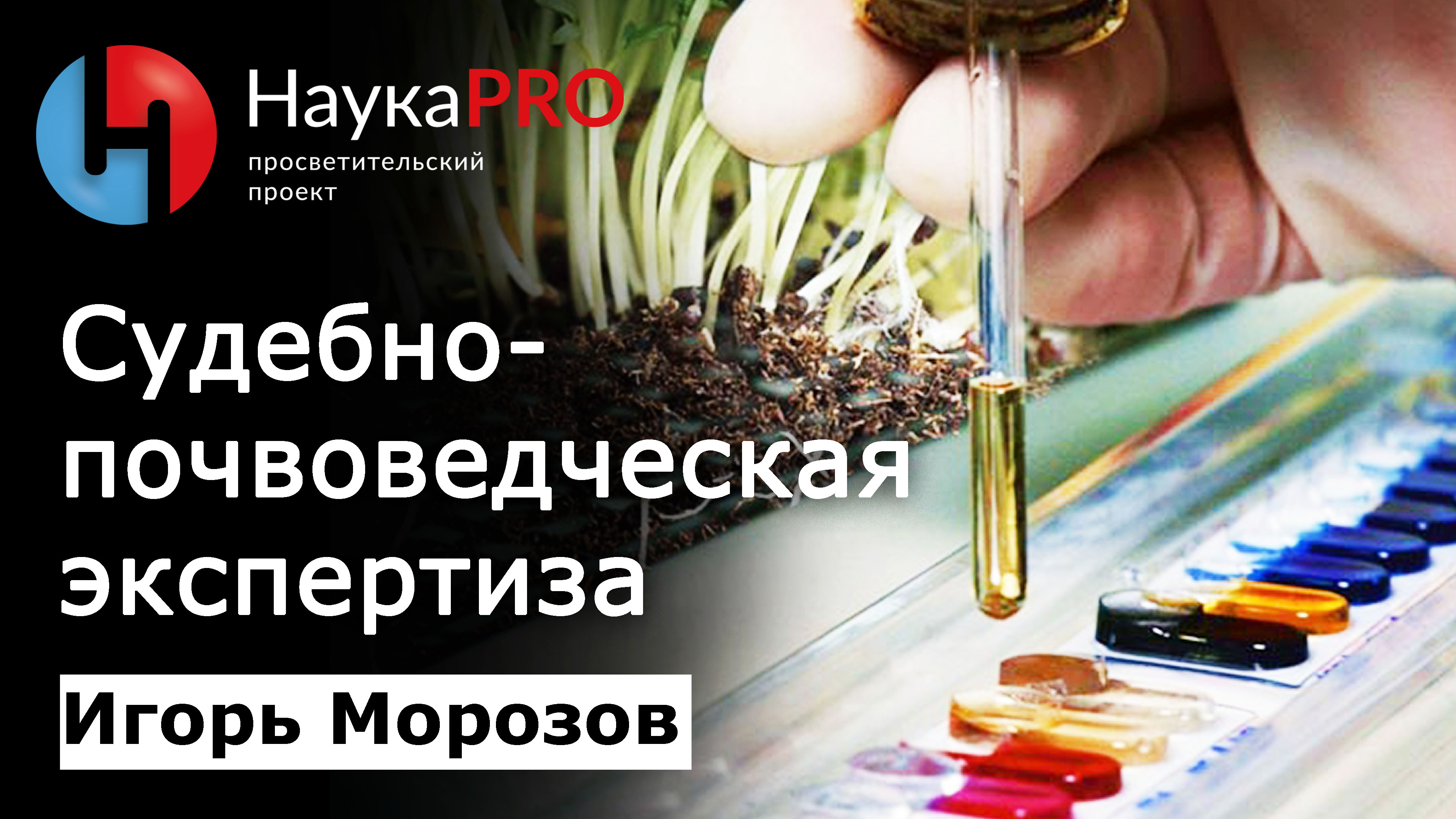 Судебно-почвоведческая экспертиза | Лекции по криминалистике – судмедэксперт Игорь Морозов | Научпоп
