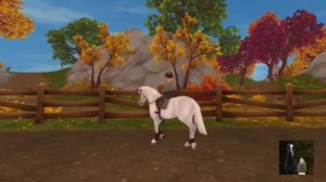 STAR STABLE RRP|SSO Vlog|Конный Влог|Конкурная тренировка|