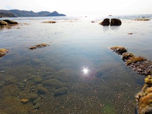 Шепот моря. Орджоникидзе. Крым.