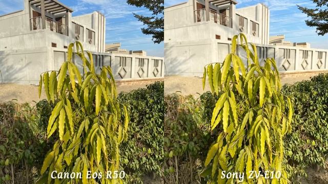 Canon Eos R50 VS Sony ZV-E10 Camera Test Comparison смотреть онлайн