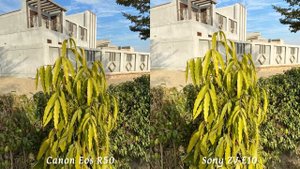 Canon Eos R50 VS Sony ZV-E10 Camera Test Comparison