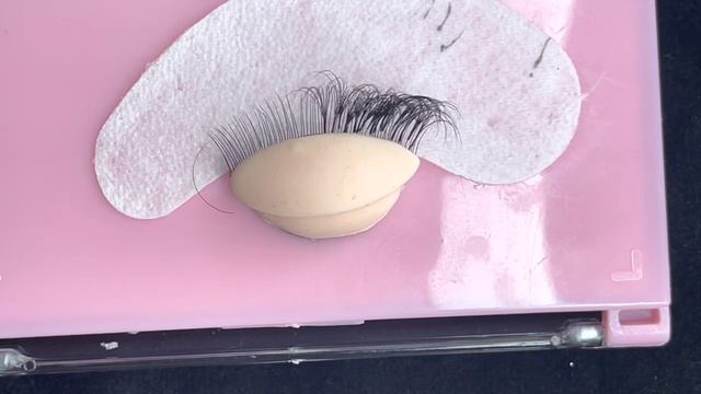 Lash Extensions On A Mannequin | Watch Me Practice Volume Lashes
