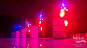 Заказать световое шоу барабанщиков на праздник в Москве - световое барабанное шоу на корпоратив