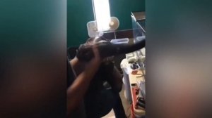 Нападение домашнего питона. Будьте осторожны.