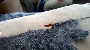 Вязание каймы.Обзор пуховой пряжи.