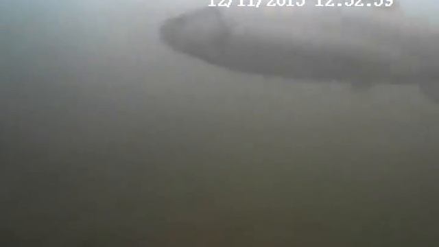 Форель поедает икру и пеллетс. Прикормили форель красной икрой :) Trout fishing, red caviar, look! смотреть онлайн