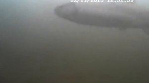 Форель поедает икру и пеллетс. Прикормили форель красной икрой :) Trout fishing, red caviar, look!