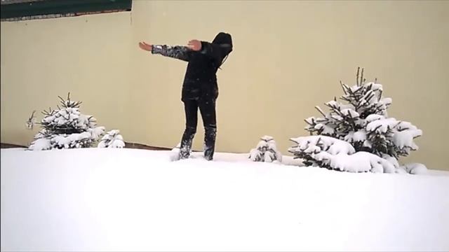 VLOG ● Учусь делать сальто назад.Первая кровь. смотреть онлайн