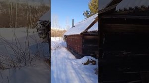 Пасека. Чарышский район. 3