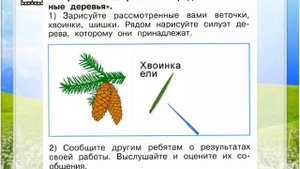 Задание 2 Что такое хвоинки? - Окружающий мир 1 класс (Плешаков А.А.) 1 часть