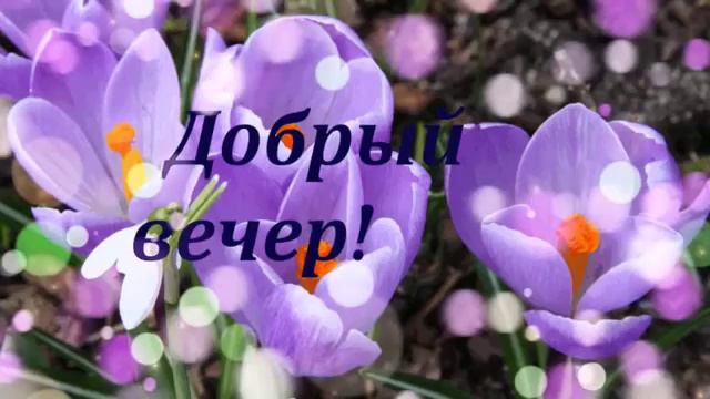 ПРИЯТНОГО  ТИХОГО  ВЕЧЕРКА! смотреть онлайн