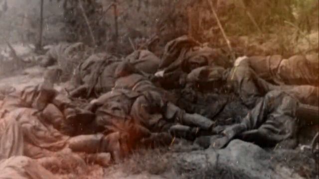 Кто водрузил первым флаг на рейхстаг. Из книги Шешуші шабуыл. смотреть онлайн