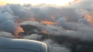 Boeing 737-500 а/к Utair | Рейс Ханты-Мансийск - Москва