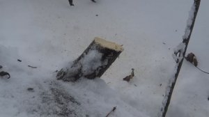 Ручная пила - струна по дереву из Китая