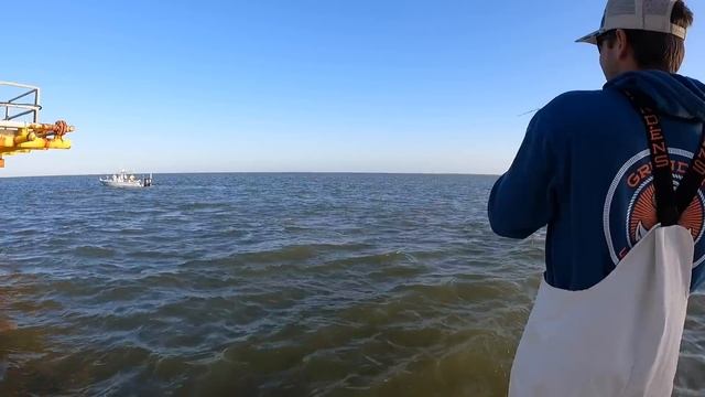 We Caught BIG Speckled Trout at BIG Platforms! смотреть онлайн