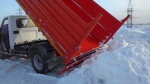 Газон некст