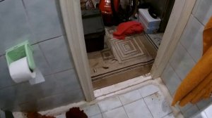 Что нельзя смывать в унитаз. Наполнитель для кошачьего лотка забил унитаз и трубы.(52)