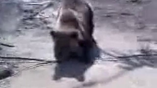 Южно-Русское месторождение Медведъ.3gp смотреть онлайн