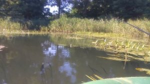 РЫБАЛКА НА ПОПЛАВОК С ЛОДКИ