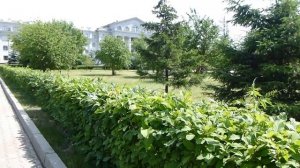 #74. ТОП-10 мест в КРАСНОЯРСКЕ. Какие ДОСТОПРИМЕЧАТЕЛЬНОСТИ стоит посетить? БОЛЬШОЙ РЕПОРТАЖ