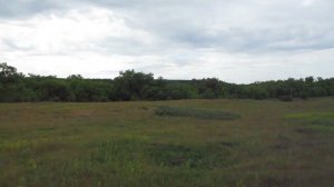 Опустевшая деревня Игнатьевка, Аткарский район