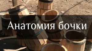 Анатомия дубовой бочки