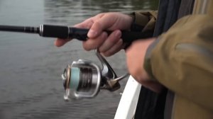 Лето, Кама, джиг... Ловля судака, щуки и окуня на джиг в Татарстане