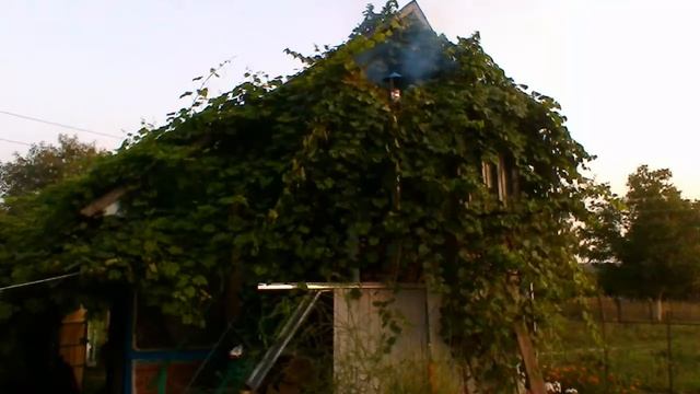 Сдаю дачу местным гномам смотреть онлайн