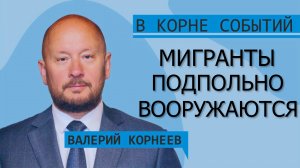 Мигранты подпольно вооружаются