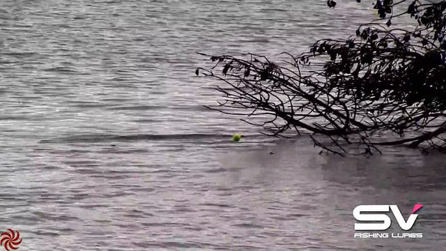 В поисках трофейного сома(Часть 3). fishing for trophy CATFISH! (part 3) 1080p. смотреть онлайн