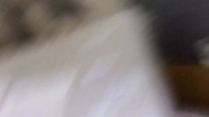 Коробка из пенопласта тест