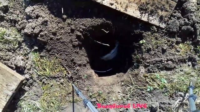 Крот снова на участке. Ультразвуковой отпугиватель после зимы, ловушки, новый способы борьбы. смотреть онлайн