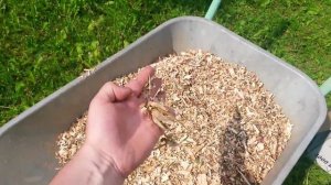 Вишневая щепа для копчения