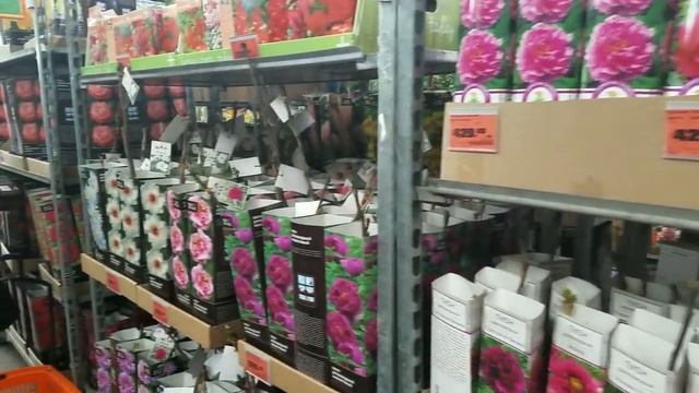 ОБИ: Женская феерия цветов и букетов к 8 Марта. смотреть онлайн