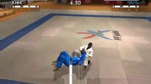 мастер дзюдо игра