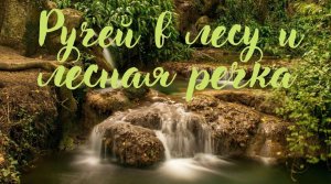Ручей в лесу и лесная речка. Романтическая музыка.