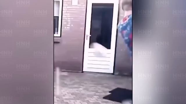 Fails Of The Week #30 | Funny Videos 2024| Funny Fails 2024| HNH
