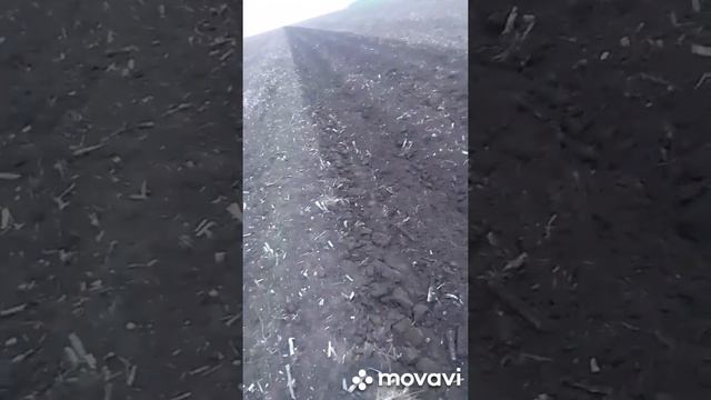 Безотвальная обработка,плуг Мальцева.Переоборудование ПЛН. Первый выезд.